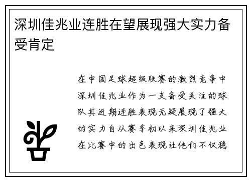 深圳佳兆业连胜在望展现强大实力备受肯定